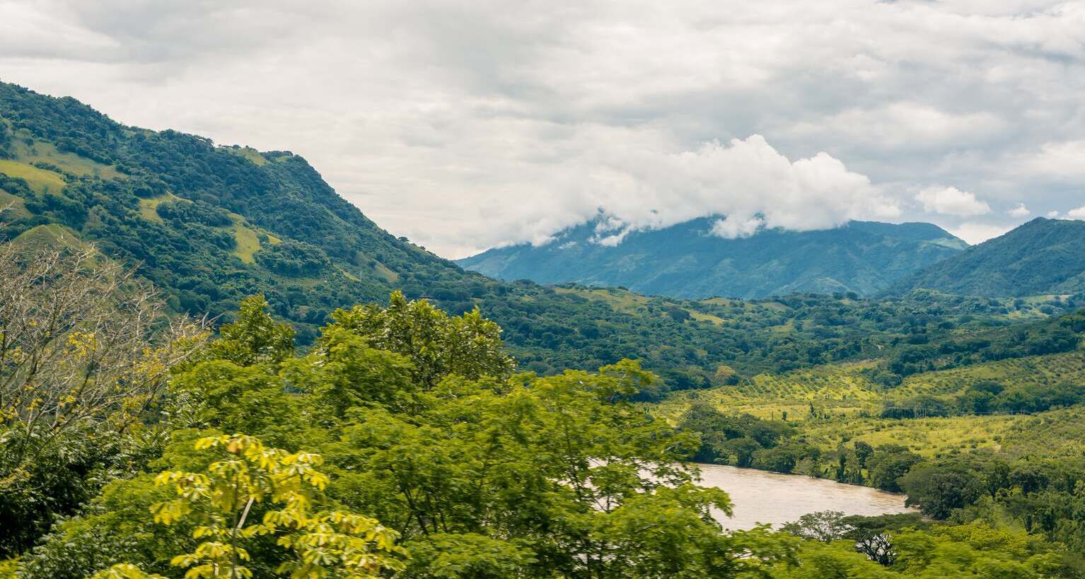 Mountain with river and forest.