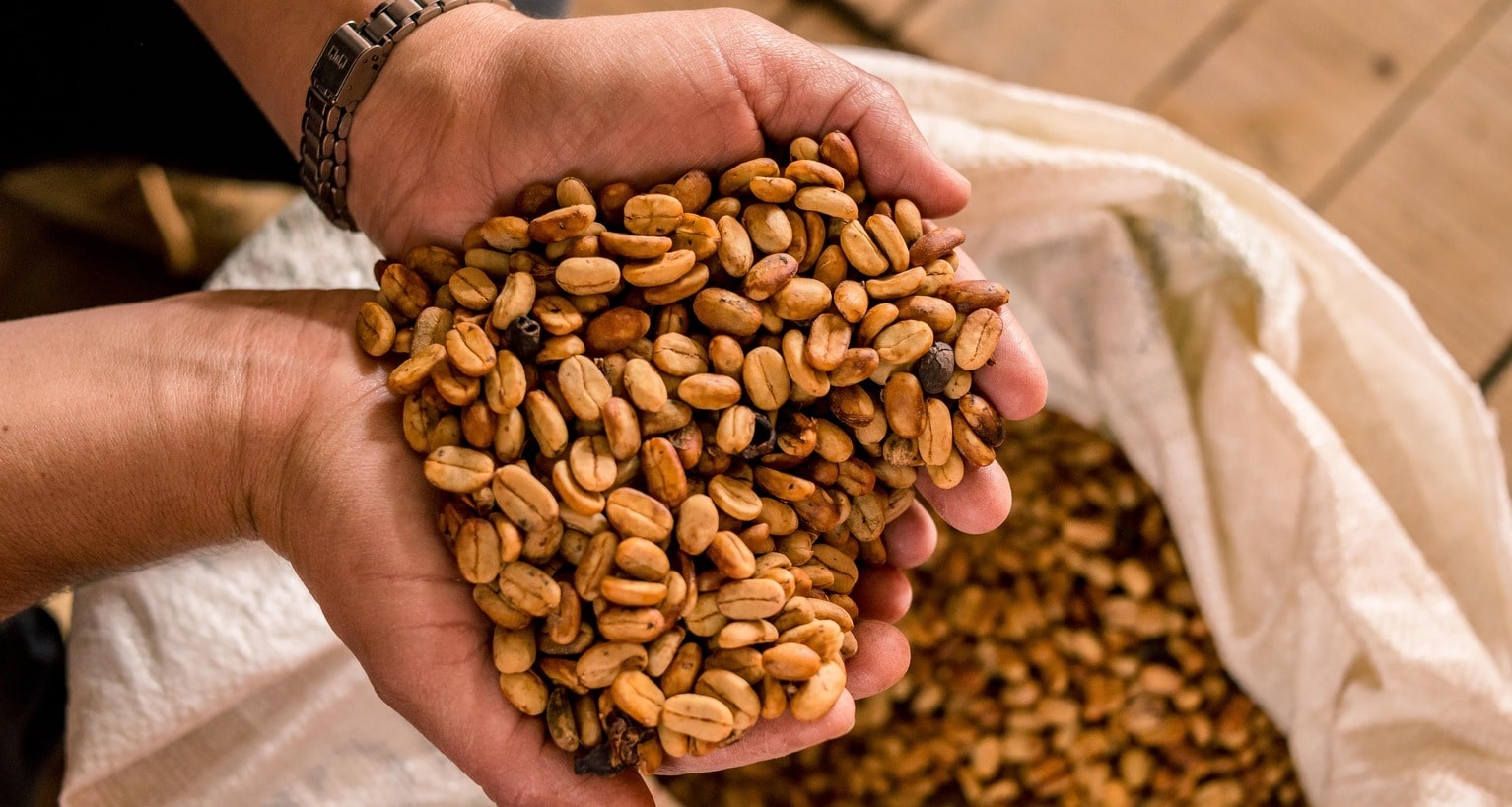 Man holds coffee beans